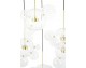 CAPRI LINE 7 gold hanging lamp - 420 LEDs, aluminum, glass