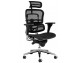 ERGO office chair, black